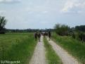 IMG 0390
