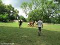 IMG 0370