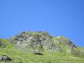 IMG 0652